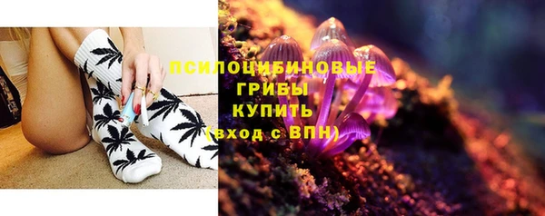 ECSTASY Зеленокумск